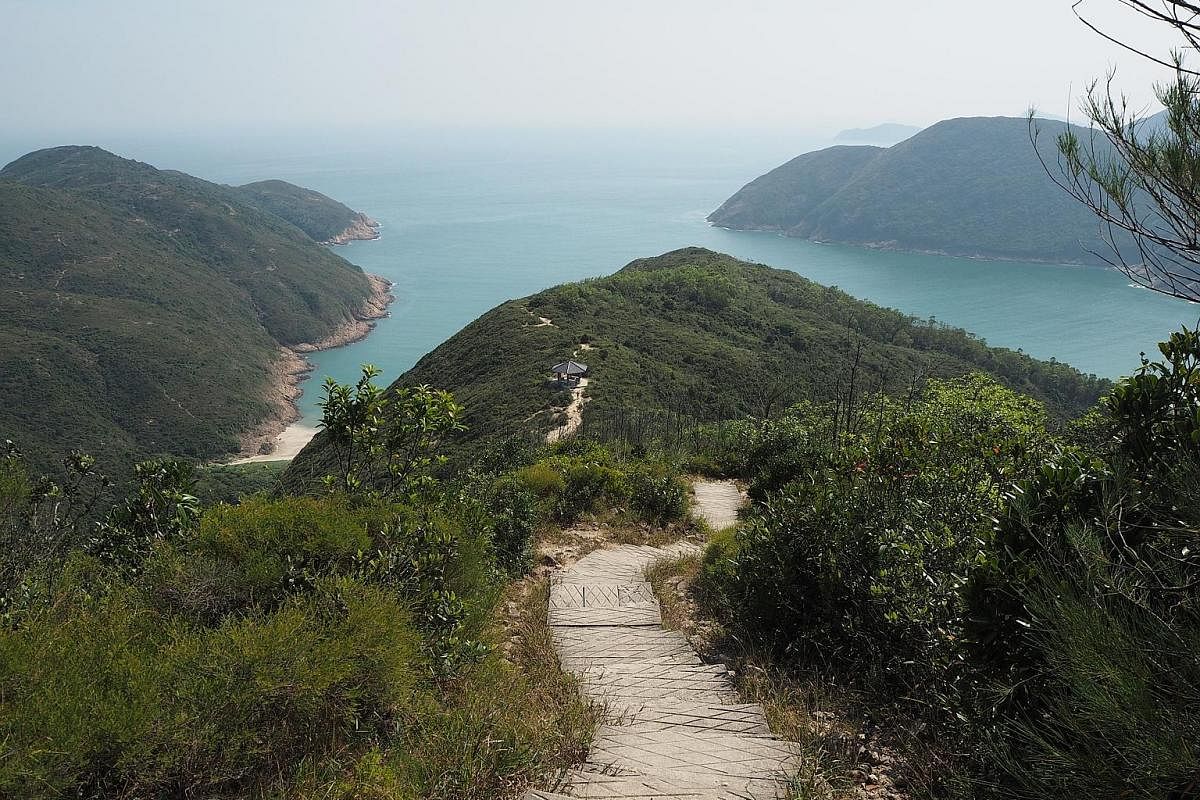(Right) Rock columns 100m-tall and stacked symmetrically like gargantuan matchsticks are a geological marvel in the Hong Kong Unesco Global Geopark. (Left) Enjoy panoramic views of coves, ridges and uplands carpeted in dense grassy vegetation on the 
