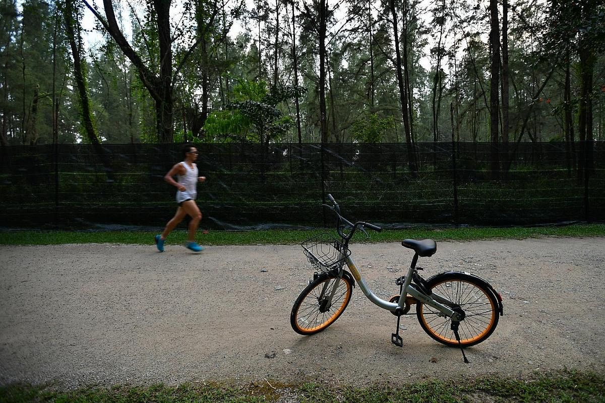 A Mobike stands forlornly in a remote corner of the Chinese Cemetery in Lim Chu Kang. An ofo bicycle lies discarded among the bushes next to a drain in Lorong 1, Toa Payoh. An oBike bicycle stands in the rain in a puddle of water in Rutland Road, nea
