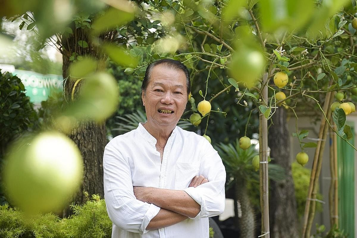Madam Janny Cheong has two potted lemon plants in the balcony garden of her condominium. Mr James Koh of Hawaii Landscape, which has been selling lemon plants since the 1950s, says there has been an 80 per cent spike in the number of people buying le