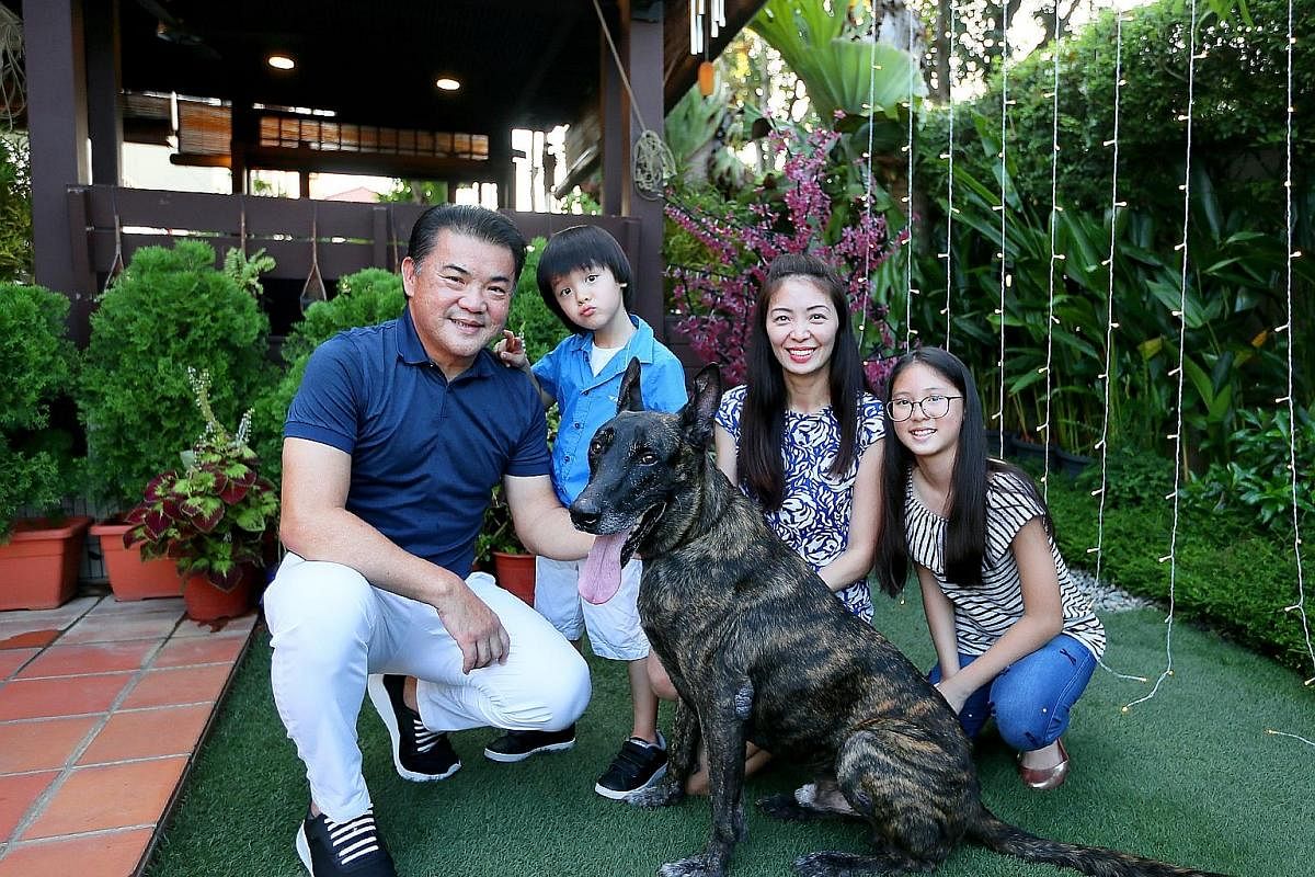 Ms Philishere Ng with her rabbits (from left) Koala, seven, Bobo, eight, and Felice, three. Above: Mr Ringo Chong, his wife Florence Ho and their children Renee and Rainier with their newly adopted retired police dog, Thomas, who is eight years old. 