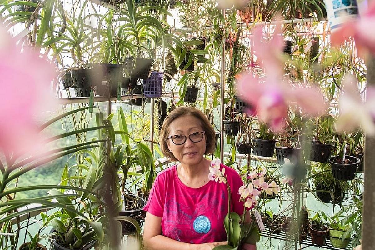 Orchids (far left and above) in the balcony garden of retiree Peggy Yap (left).