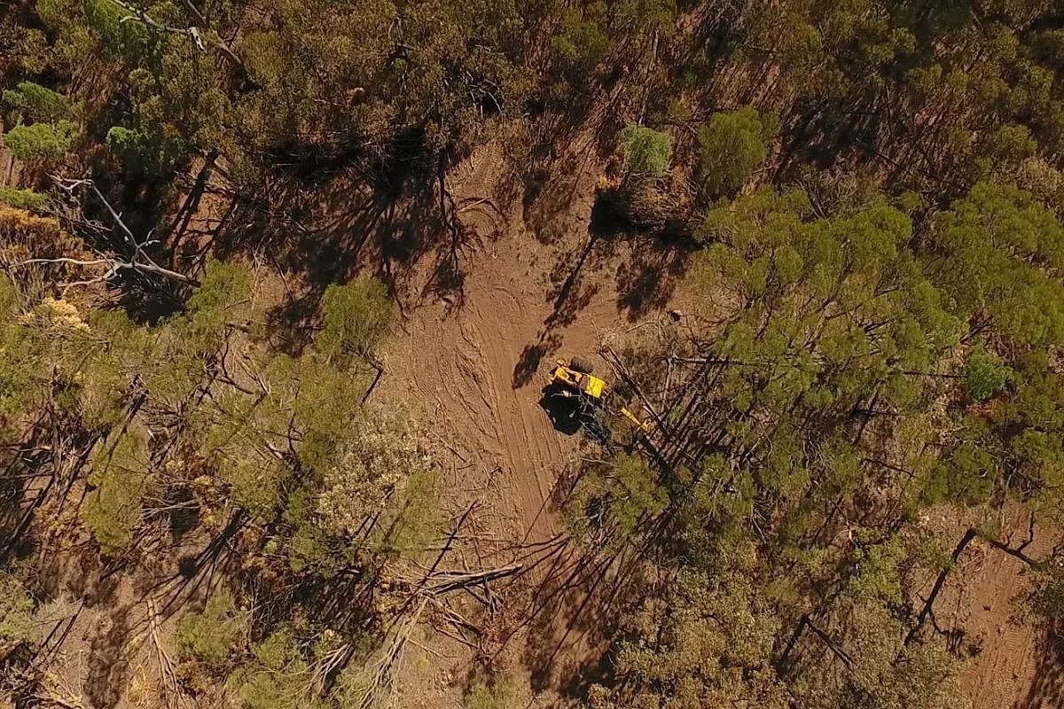 Bulldozing of land in Queensland. Experts say the Australian state, which has about 40 per cent of the country's forests, has been clearing its bushland at a faster rate than Brazil's cutting down of its Amazon rainforest. A report by the Climate Cou