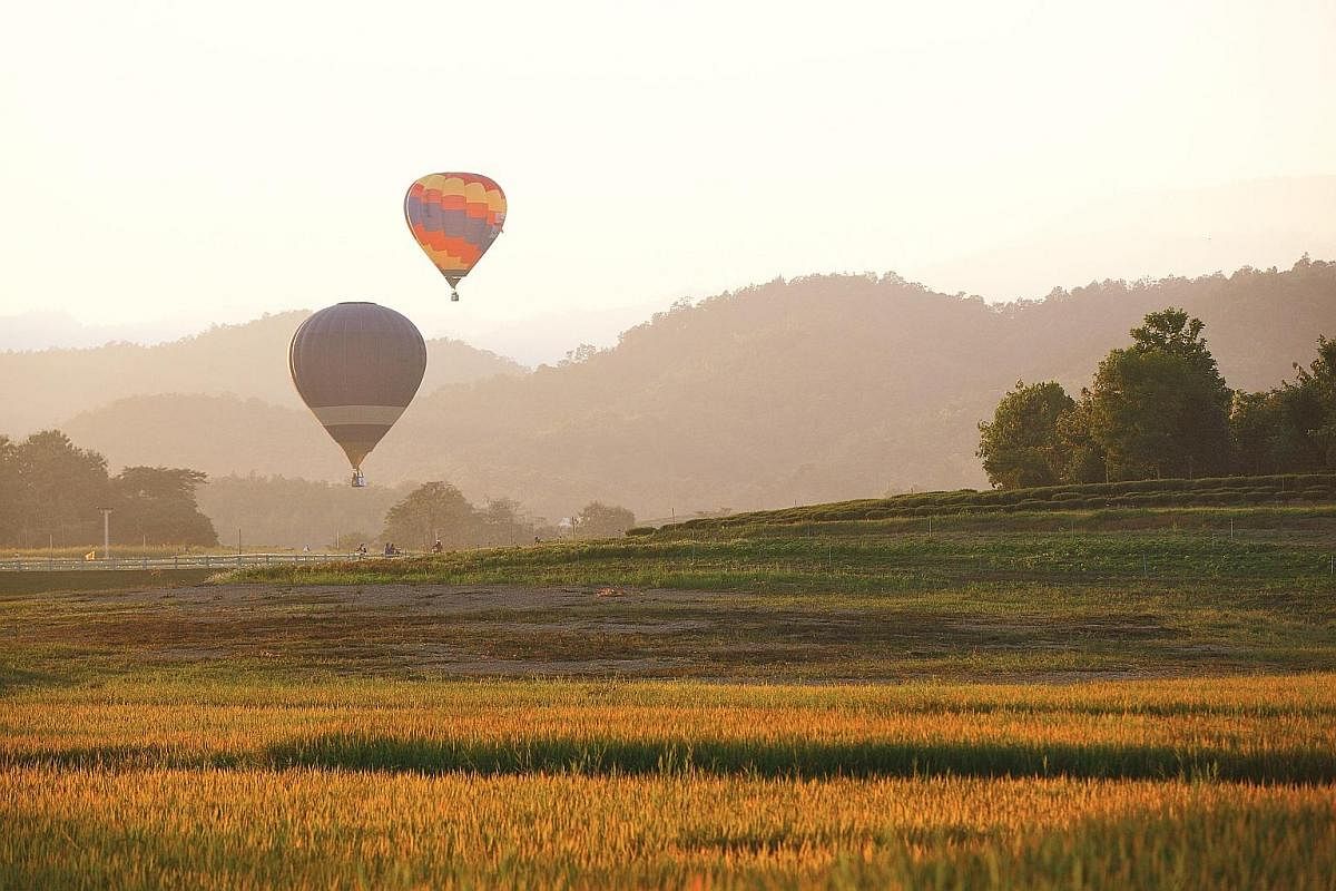 Delving into the caves of Soppong in Mae Hong Son province is an exhilarating experience. Sprawling amusement park Singha Park hosts an annual hot air balloon festival. Above: Visitors can tour tea plantations like Choke Chamroen, where they can get 