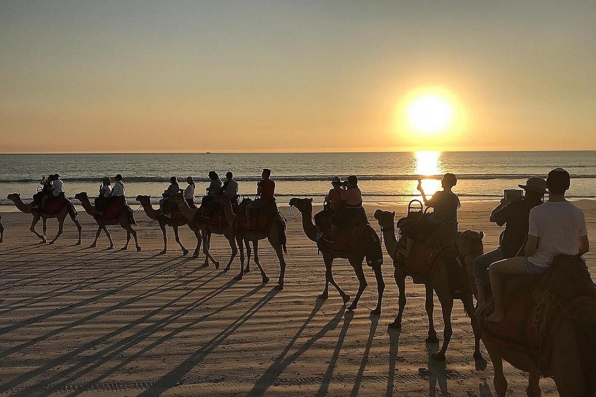 Riding a camel on Cable Beach during sunset is a must for visitors to Broome. About 6km from Broome, the red cliffs of Gantheaume Point showcase the famous colours of the Kimberley as they drop dramatically into the sea.
