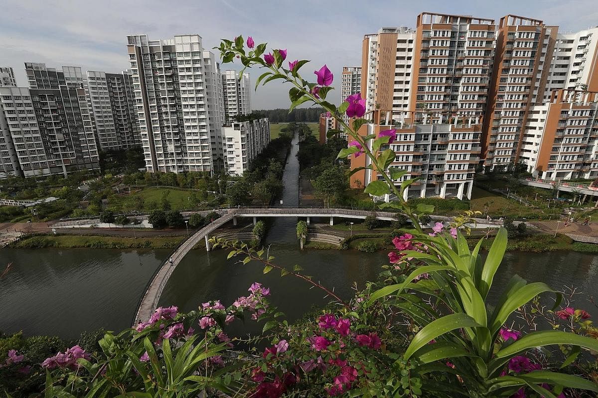 Pedestrians at Punggol Waterway, Singapore's first man-made waterway. The design of the waterway and landscape promenade embraces the area's rich coastal heritage. A boy looking at an upcoming development as the LRT train travels along the Punggol We