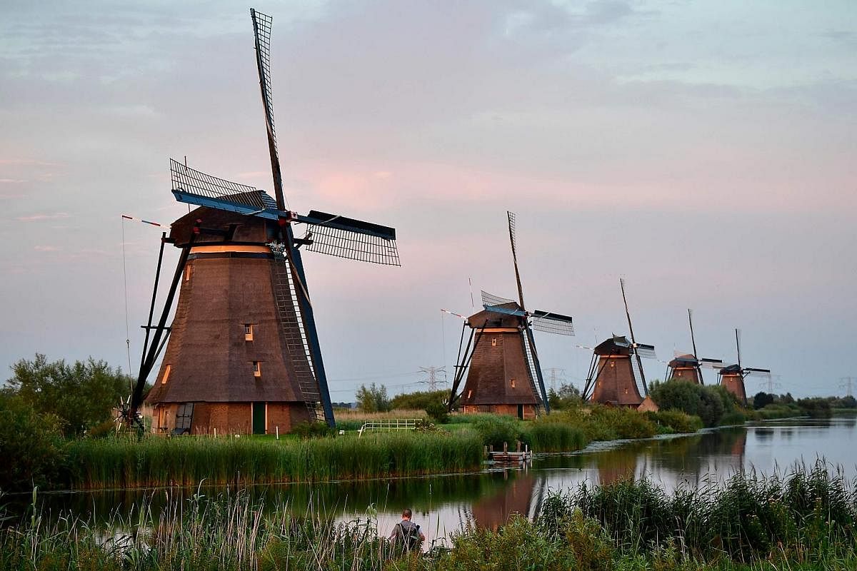 (Far left) A windmill in the village of Kinderdijk, south-east of Rotterdam, in the Netherlands. (Left) Members of the Pizzaioli Acrobats Coldiretti performing "twirling" pizza to celebrate the Unesco decision to make the art of Neapolitan pizzaiuolo