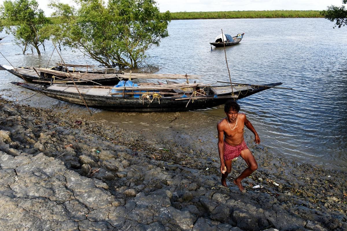 A view of the forest (in background) of the Sundarbans on Bali island. The fishing community say they have no choice but to risk their lives in the core area of the forest - which is off-limits for human activity - with one fisherman saying fish and 
