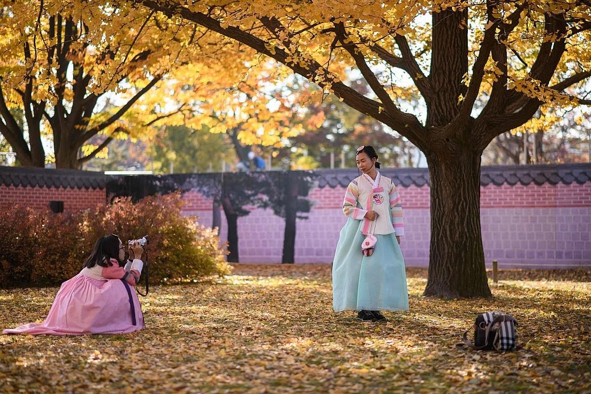 Cyclists or joggers in Yeouido Hangang Park often make pit stops at fields of flowers for pictures. Besides cycling (left), you can also set up tents and camp (above) at Yeouido Hangang Park. Visitors in hanbok, the traditional Korean dress, pose for