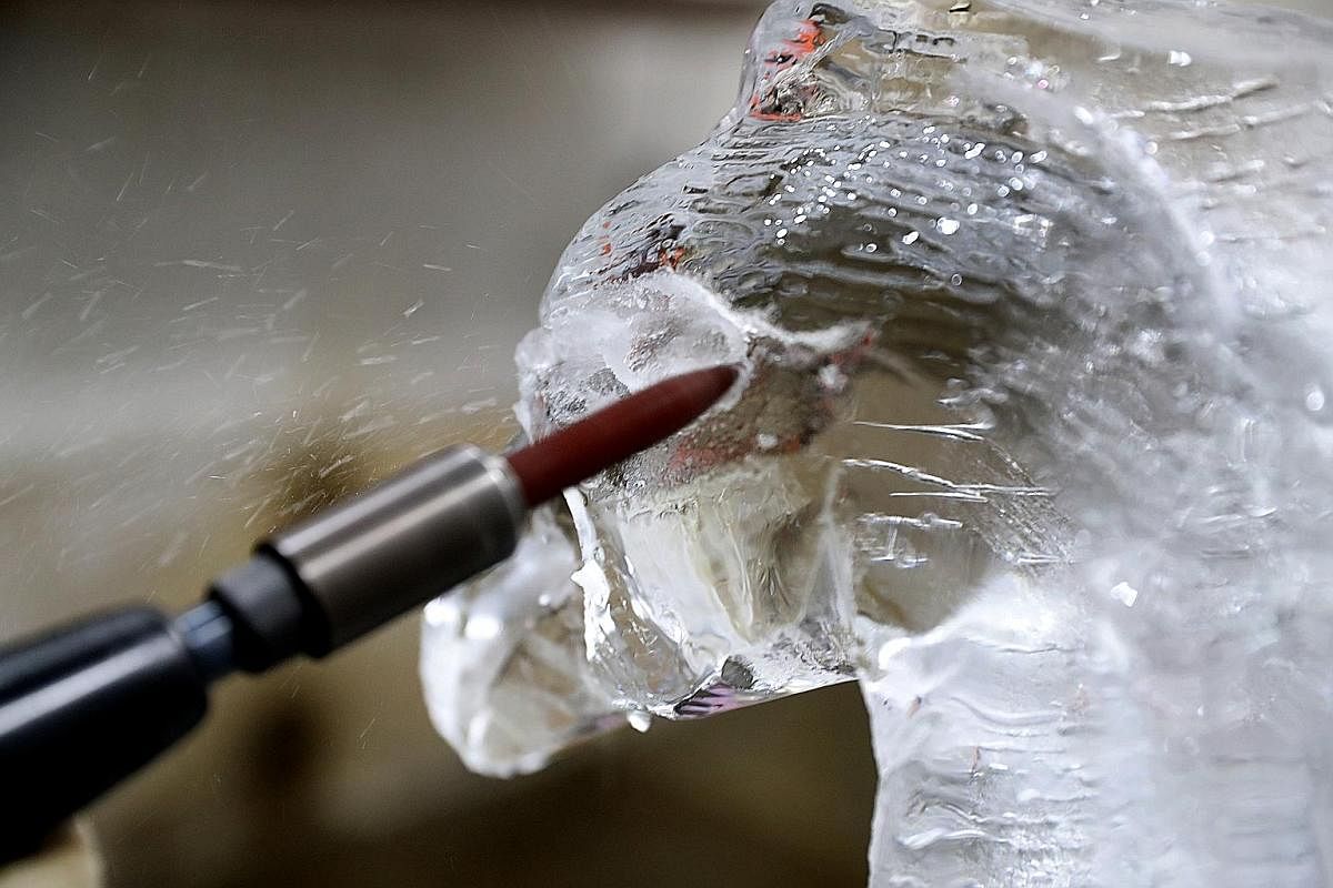 Dressed up in thick winter gear, Mr Jeffrey Ng works on the finer details of a peacock ice sculpture inside the freezer. When the peacock ice sculpture is completed, it is lifted carefully with a forklift onto an ice truck for delivery to the custome