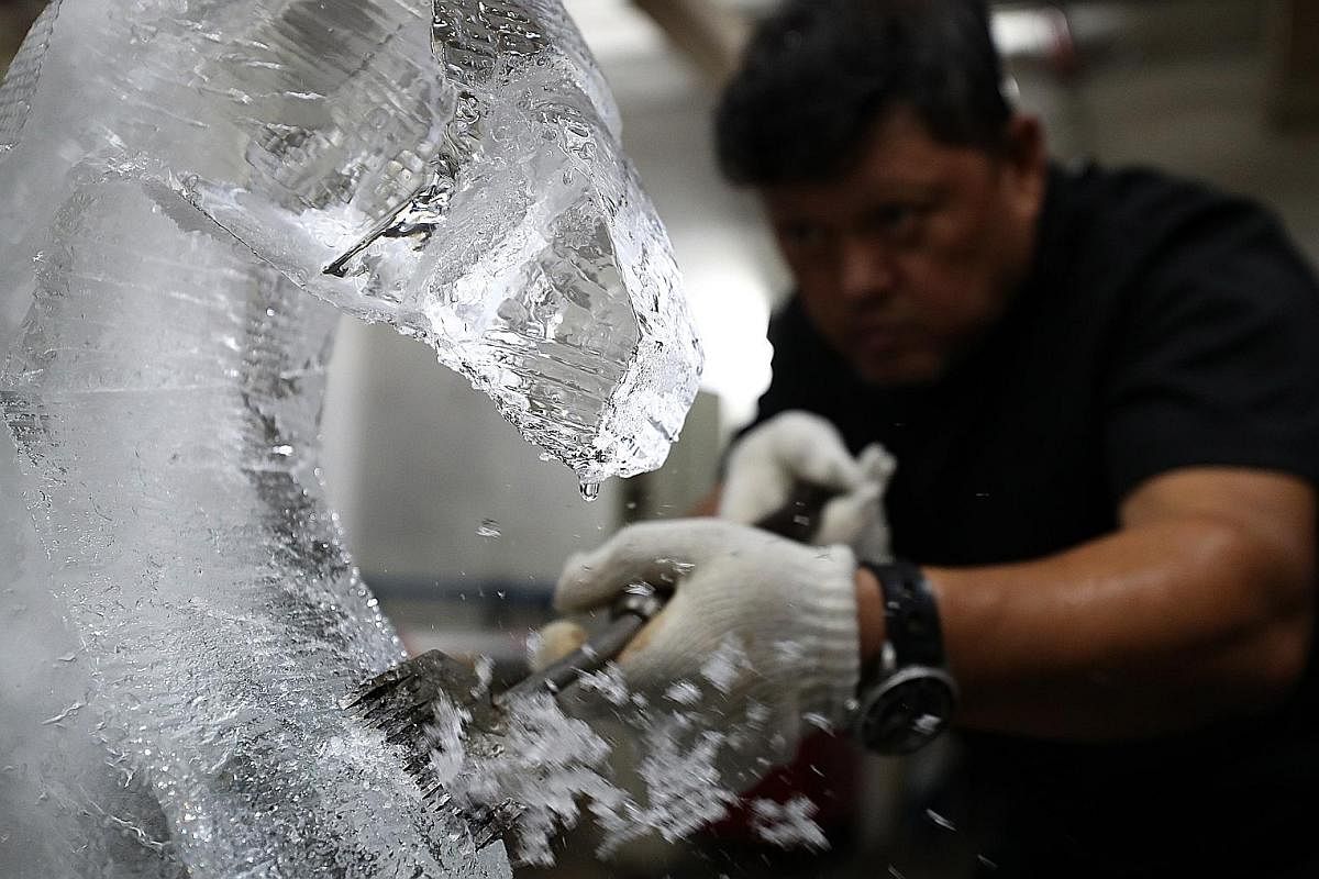 Dressed up in thick winter gear, Mr Jeffrey Ng works on the finer details of a peacock ice sculpture inside the freezer. When the peacock ice sculpture is completed, it is lifted carefully with a forklift onto an ice truck for delivery to the custome