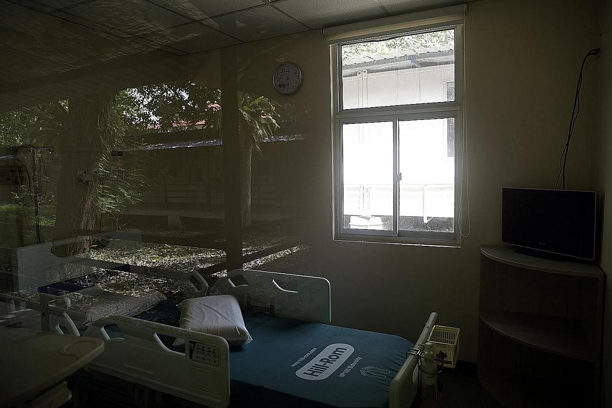 The reflection of the greenery seen against the window of a Sars isolation room. Rambutan, mango, duku langsat and other old trees can be found in the compound.