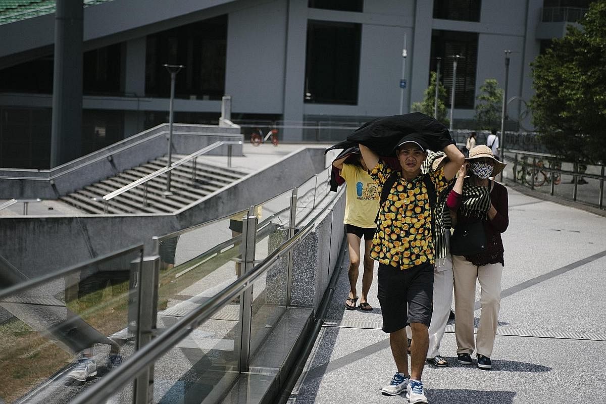 Singapore is already feeling the impact of global warming. It is experiencing a long-term trend of warming, with last year being the Republic's eighth-warmest year on record, says the Meteorological Service Singapore. Furthermore, Singapore's Second 