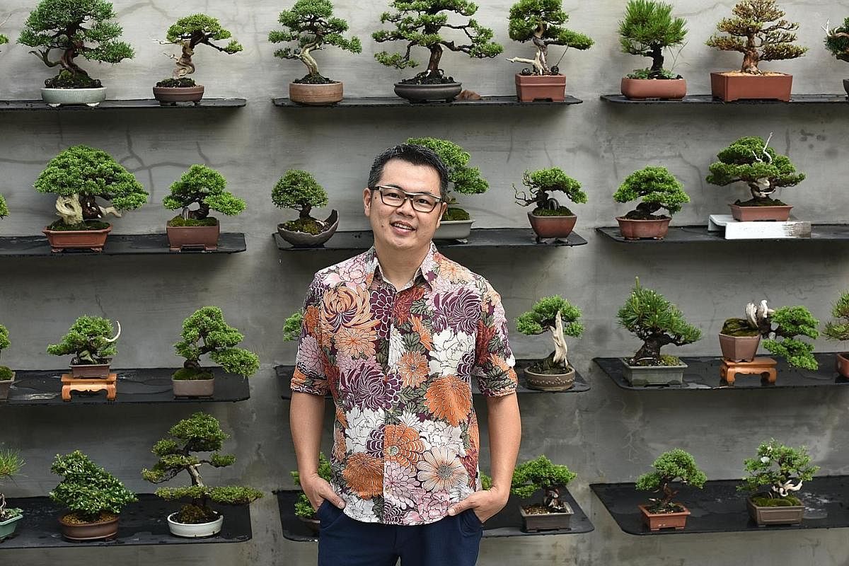 Mr Eddy Elias Teo, owner of Jia Bonsai Singapore, with his bonsai plants at his landed property in Upper Thomson.