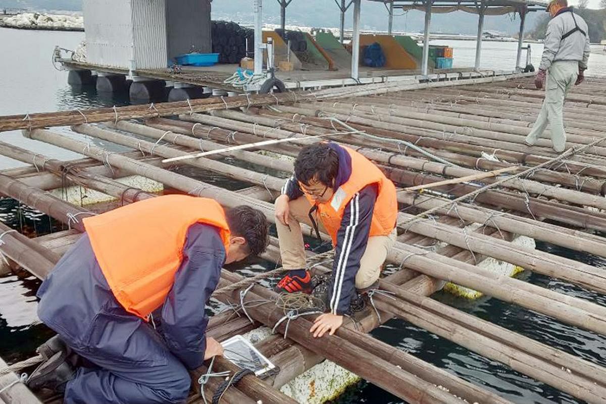 Computer scientists installing a sensor on an oyster raft. The iOstrea project seeks to modernise oyster farming with drone imagery, ICT-enabled buoys and artificial intelligence analysis of data. Workers assembling vehicle engines at the Mazda facto