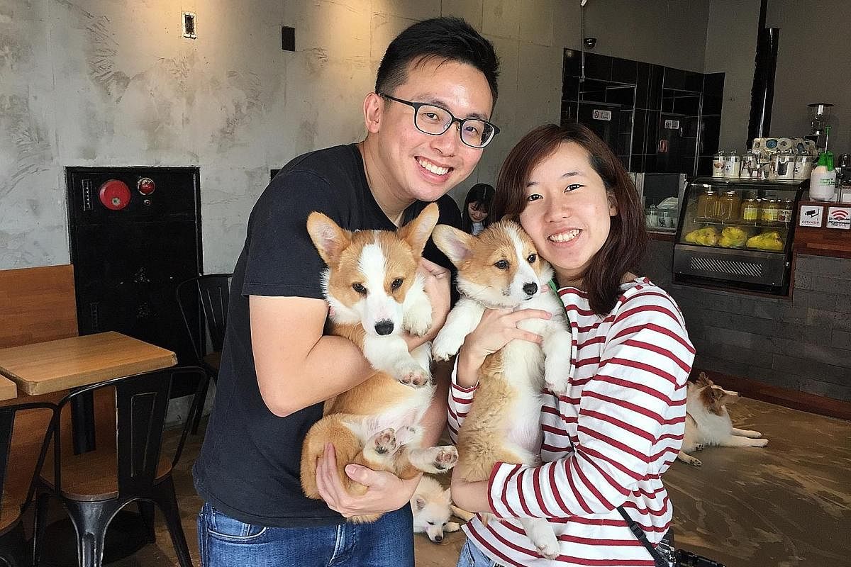 Magazine writer Koh Eng Beng and his girlfriend Charmaine Wu, a photographer, at a pet cafe in Seoul, South Korea. They spent four months travelling around Seoul, Kyoto and Taipei during his sabbatical year in 2017.