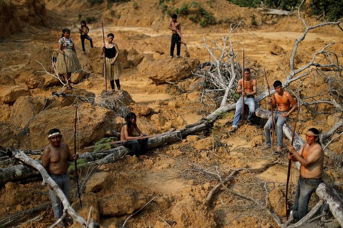 People from the Mura tribe showing a deforested area in unmarked indigenous lands inside the Amazon rainforest near Humaita, in Brazil's Amazonas state. Cattle grazing as a wildfire raged in the Amazon rainforest near Novo Progresso in Para state, Br