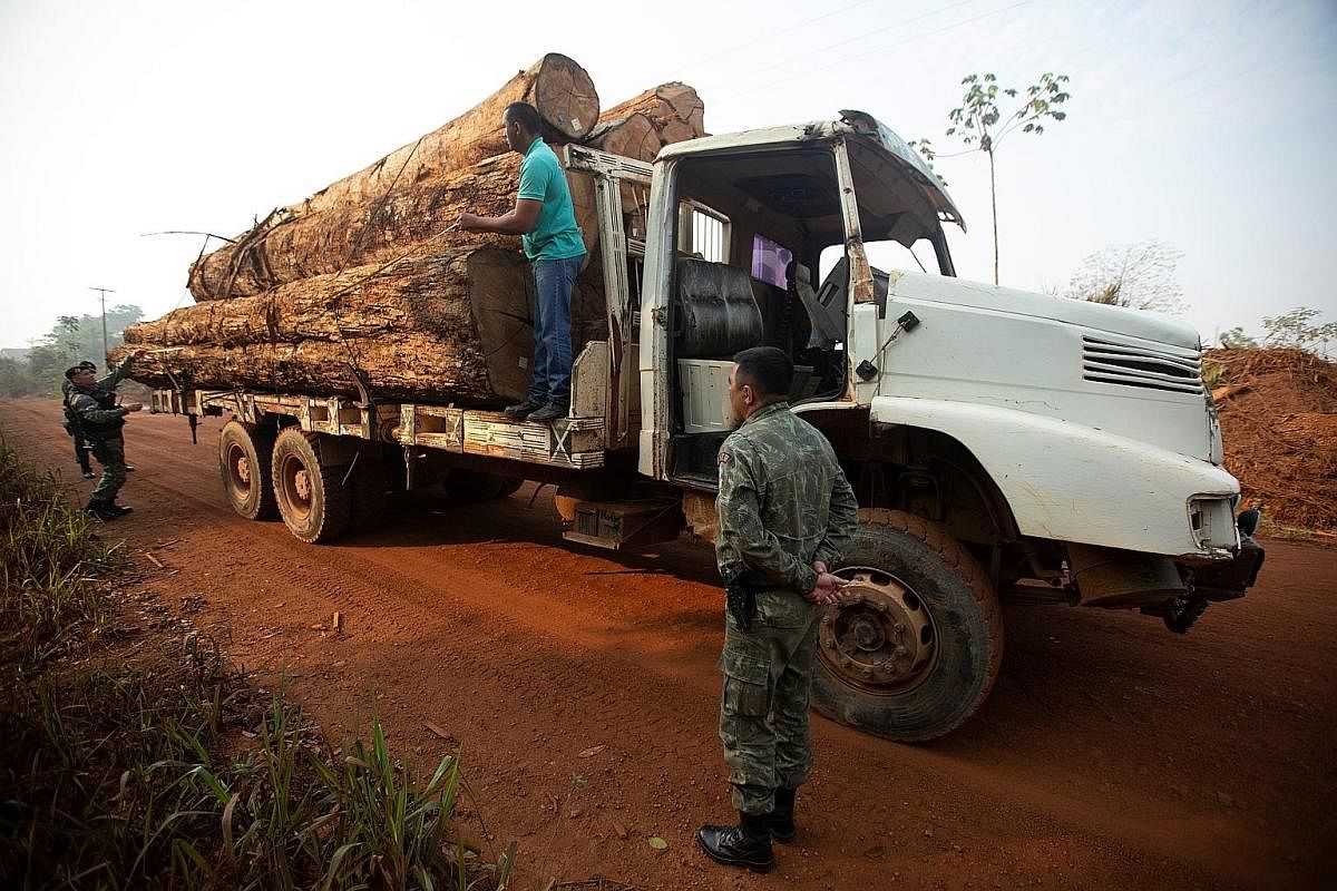 Brazilian police questioning a truck driver in Rondonia state during a joint operation against illegal logging on Sunday. PHOTO: EPA-EFE