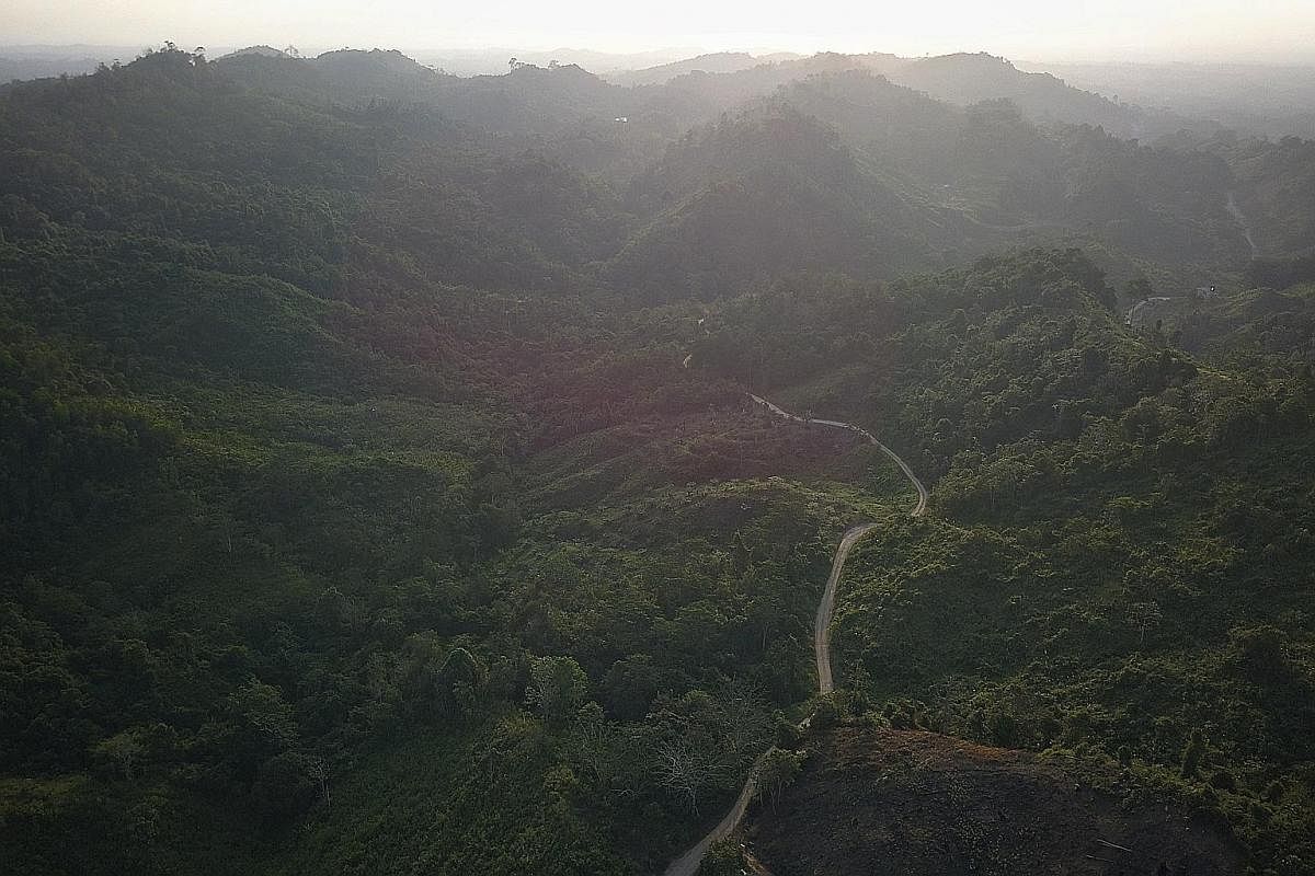 Above and below: The road to Semoi village in East Kalimantan. Many people in the province were resettled there in the late 1970s as part of a transmigration programme to reduce poverty and overpopulation in Java.