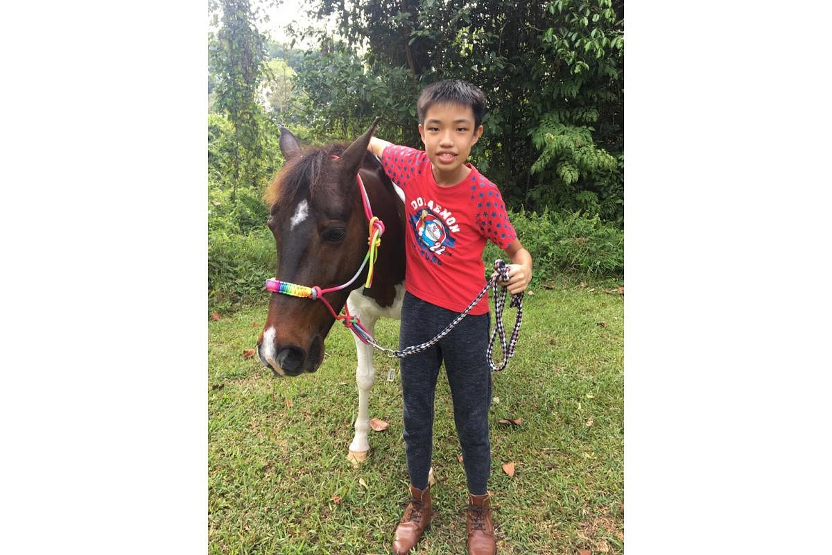 Lau En Cheng (above), 13, a Year 1 student at NorthLight School, with Smartie from Therapeutic and Educational Riding in Singapore.