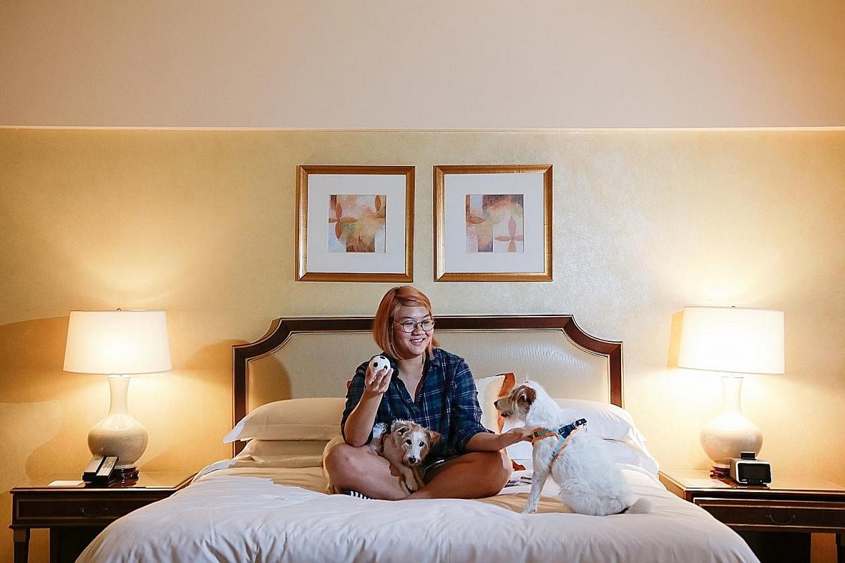 Ms Loo Ke Ying, 35, stayed with her husband and their Jack Russells, Pecan (on Ms Loo's lap) and Sam, at Regent Hotel recently.