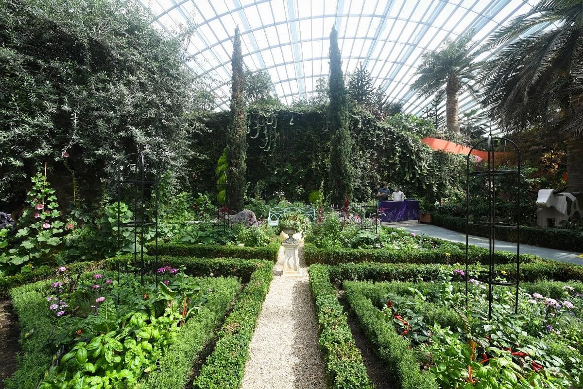 Inspired by the renowned Potager of the 16th-century Chateau Villandry in France, the Edible Garden (above) at the Flower Dome will feature vegetables and herbs. The dome will also showcase European blooms – such as foxgloves – that Gardens by the Bay has