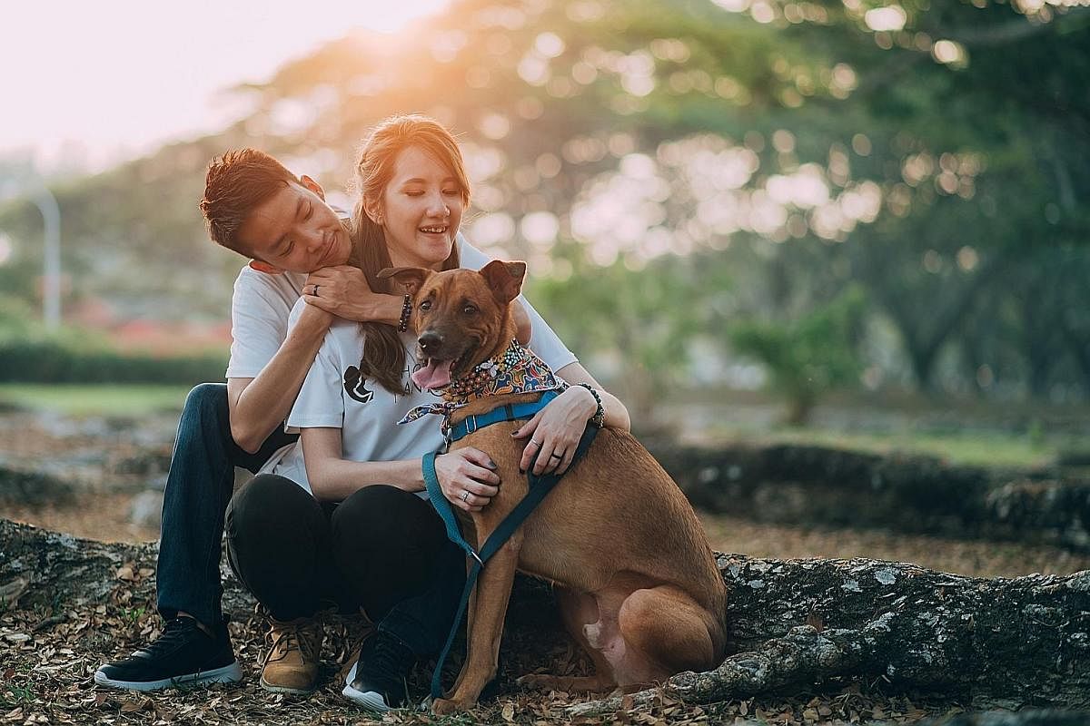 Ms Melodee Tan and her fiance Dominic Neo, both of non-profit advocacy group Hope for Animals, have been organising online adoption drives for animal shelters.