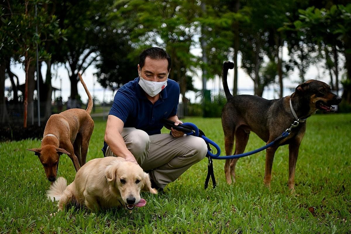 Minister of State for National Development Tan Kiat How (above), with his two dogs, greeting a furry friend at East Coast Park yesterday, where a new dog run was opened by the National Parks Board. The 0.2ha dog run is the largest in the east and can