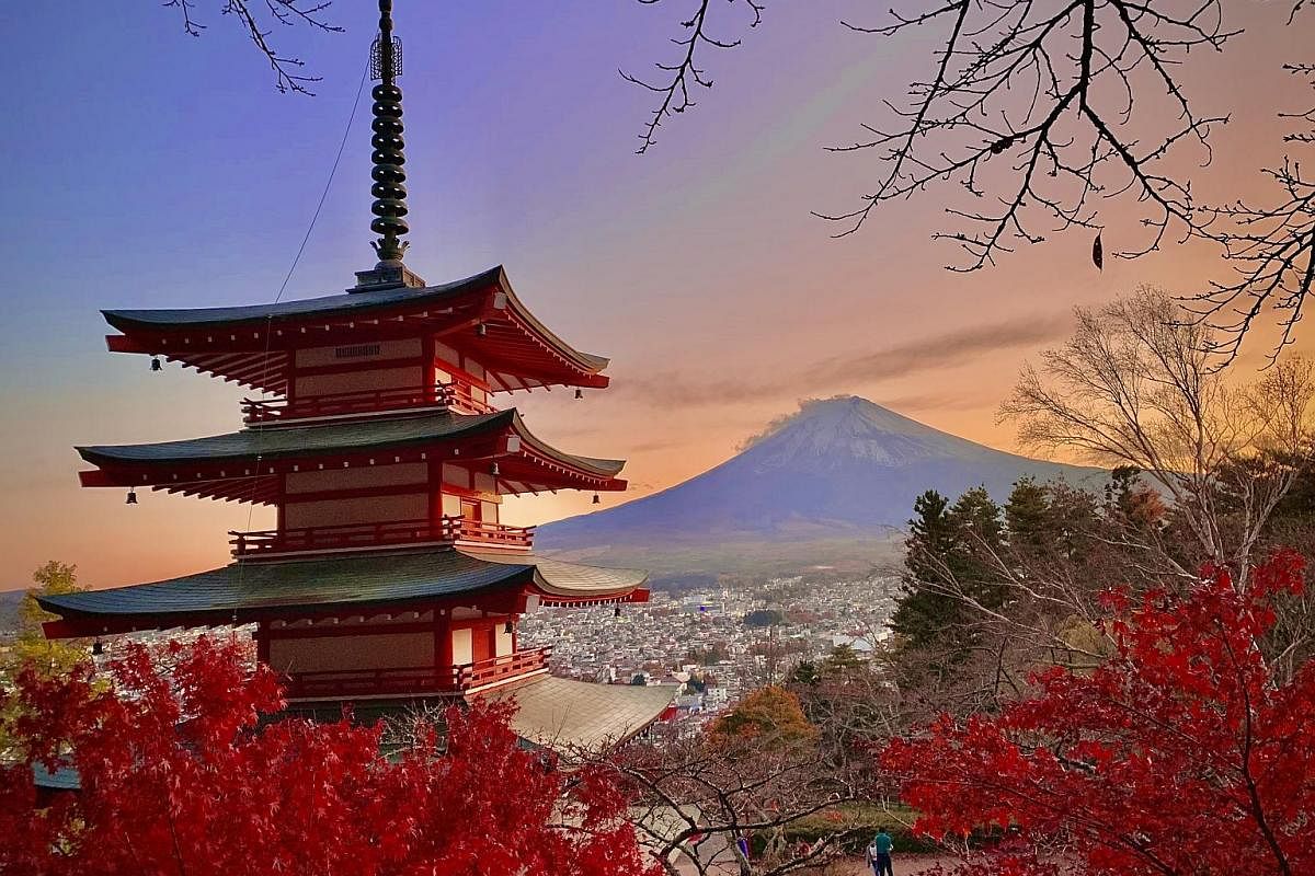 It may be too late this year for visitors to enjoy Japan's autumn season (above), but by next November, travellers might be able to do so again.
