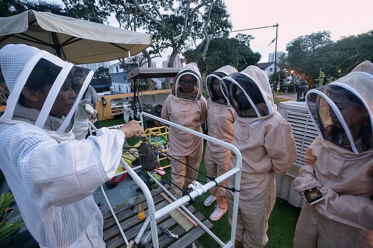 Red dwarf honey bees at The Sundowner. The Sundowner founder Clarence Chua (far left) introducing participants to the characteristics of red dwarf honey bees at his urban farm atop a Siglap shophouse last month.