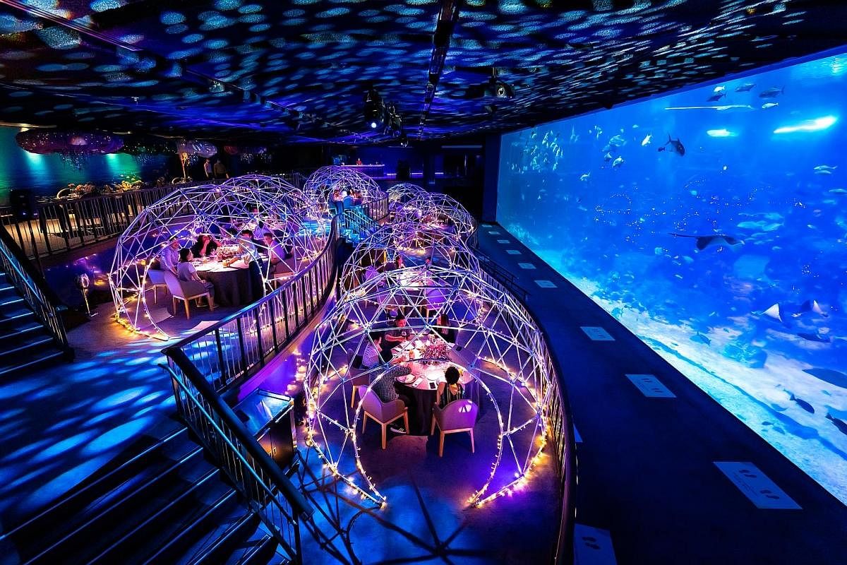Resorts World Sentosa will be serving reunion dinner at its Aqua Gastronomy pop-up inside the S.E.A Aquarium, where all eight tables placed under lit pods have been taken up. A few tables outside the pods are still available.