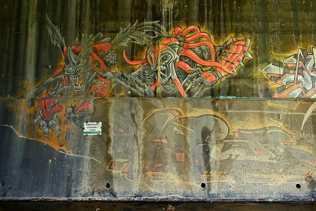 Graffiti artwork on the wall under the Commonwealth Avenue viaduct structure along the corridor. The independent street art space was introduced in 2013 in a partnership between the Urban Redevelopment Authority and National Arts Council to promote S