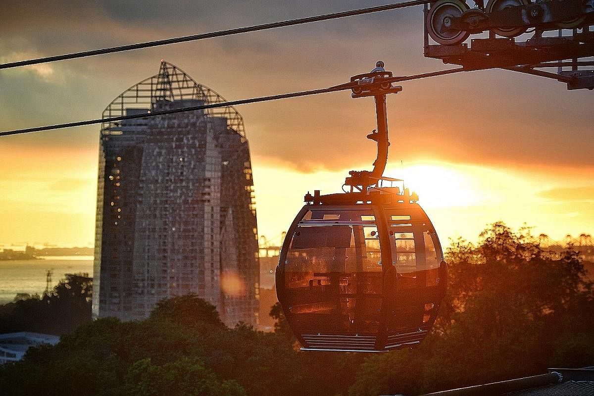 Enjoy gorgeous sunset views on board a cable car (above) en route to Sentosa or go on a tour of the Singapore Zoo (right) for behind-the-scenes insights on its operations. Pay $10 for a ticket that admits an adult and a child up to 12 years old at op