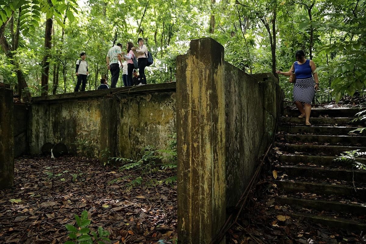 Walking groups can explore Thomson Nature Park for the nature as well as the historical remains of an old Hainan village. Private tutor Teo Siew Shan, who lives in Telok Blangah, has taken to hiking around parts of Singapore she does not usually go t