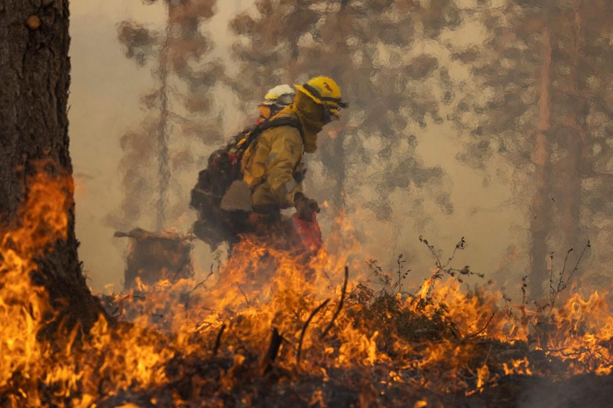 Лесной пожар в калифорнии. Лесные пожары. Лесные пожары в Калифорнии. Пожары в Калифорнии (2018). Пожар в парке Йосемити.